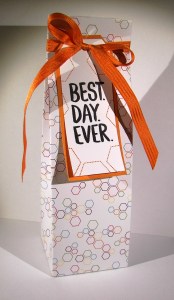 Sweet Taffy Gift Bag