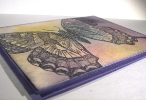 Swallowtail Watercolor