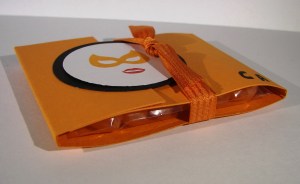 Choice and Accountability