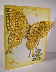 One Butterfly Too Many?  I Think Not...