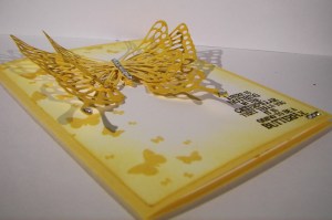 One Butterfly Too Many?  I Think Not...