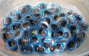 Calling All Heroes - to Girls Camp that is!