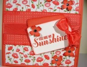 Ray of Sunshine and Pretty Petals