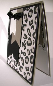 Go Wild All Occasion Card