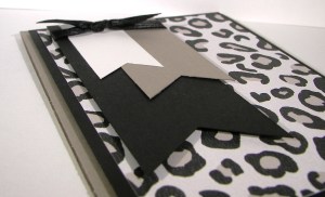 Go Wild All Occasion Card