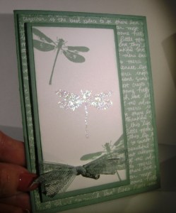 Dazzling Diamonds Dragonfly