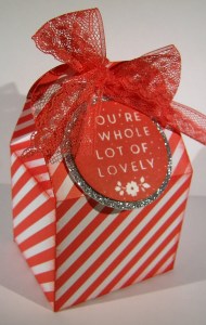 A Whole Lot of Lovely Baker's Boxes!