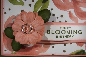 English Garden with Flower Patch