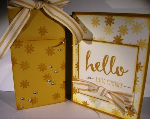 Hello Little Sunshine