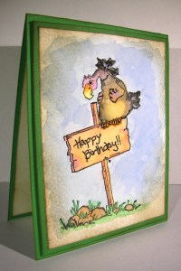 Birthday Buzzard Gift Set